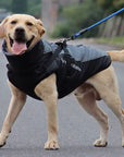 CloudTail | Warm Dog Coat with Reflective Details