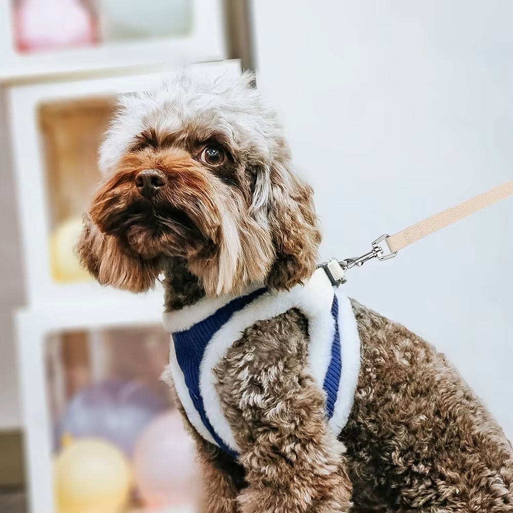 ComfyPaw | Perfect Control and Adjustable