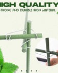 Connection Buckles - Plant