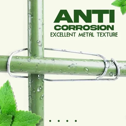 Connection Buckles - Plant