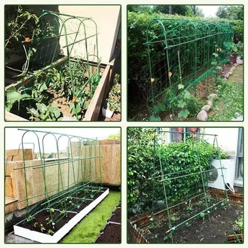 Connection Buckles - Plant