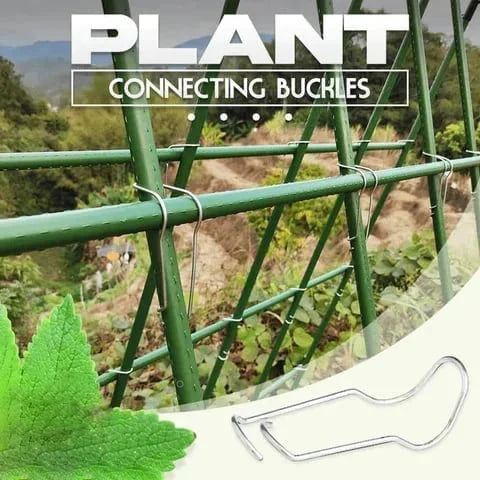 Connection Buckles - Plant