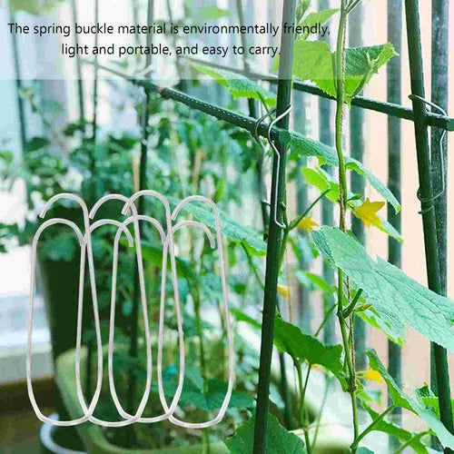 Connection Buckles - Plant