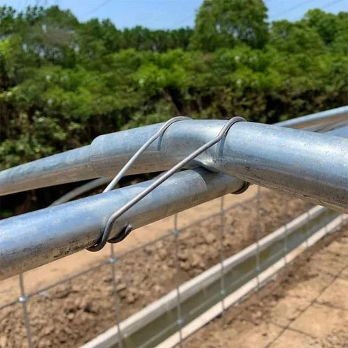 Connection Buckles - Plant