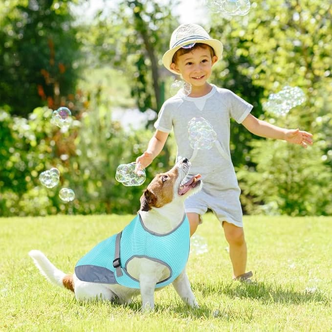 CoolBarker | Protect Your Dog from Heat