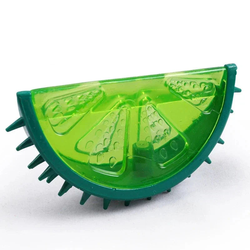 CoolPawz | The Ultimate Summer Cool Down!