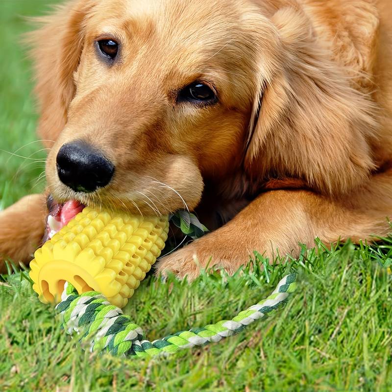 CornCraze | Corn-shaped Chew Toy for Dogs