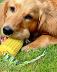 CornCraze | Corn-shaped Chew Toy for Dogs
