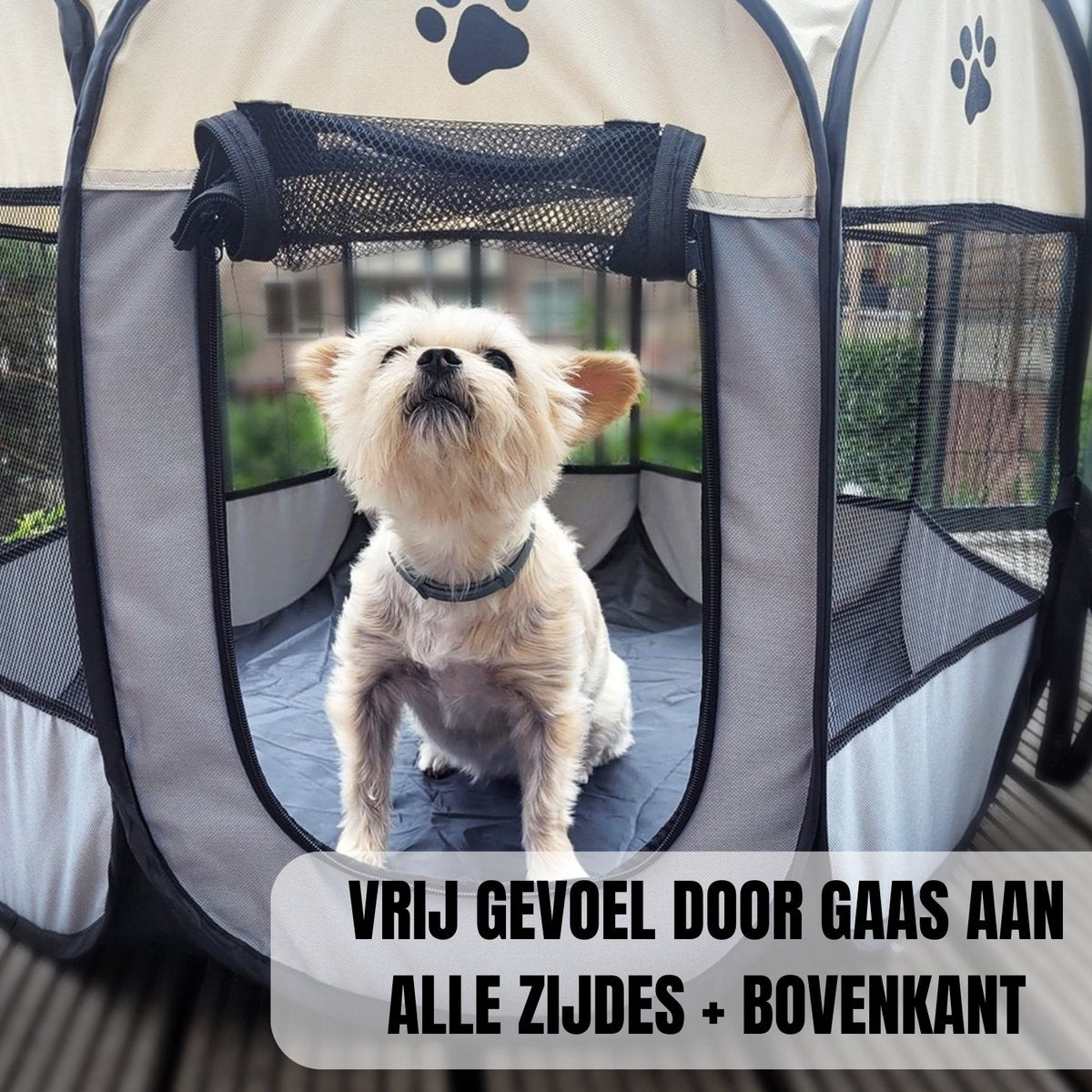 CozyBench | Prevent destruction with a safe play area