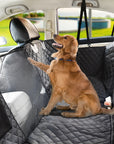 CozyCruise | Includes Free Dog Seatbelt Gift (worth €19.95)
