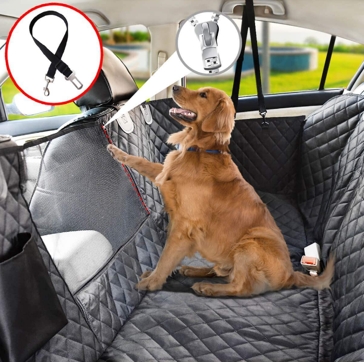 CozyCruise | Includes Free Dog Seatbelt Gift (worth €19.95)
