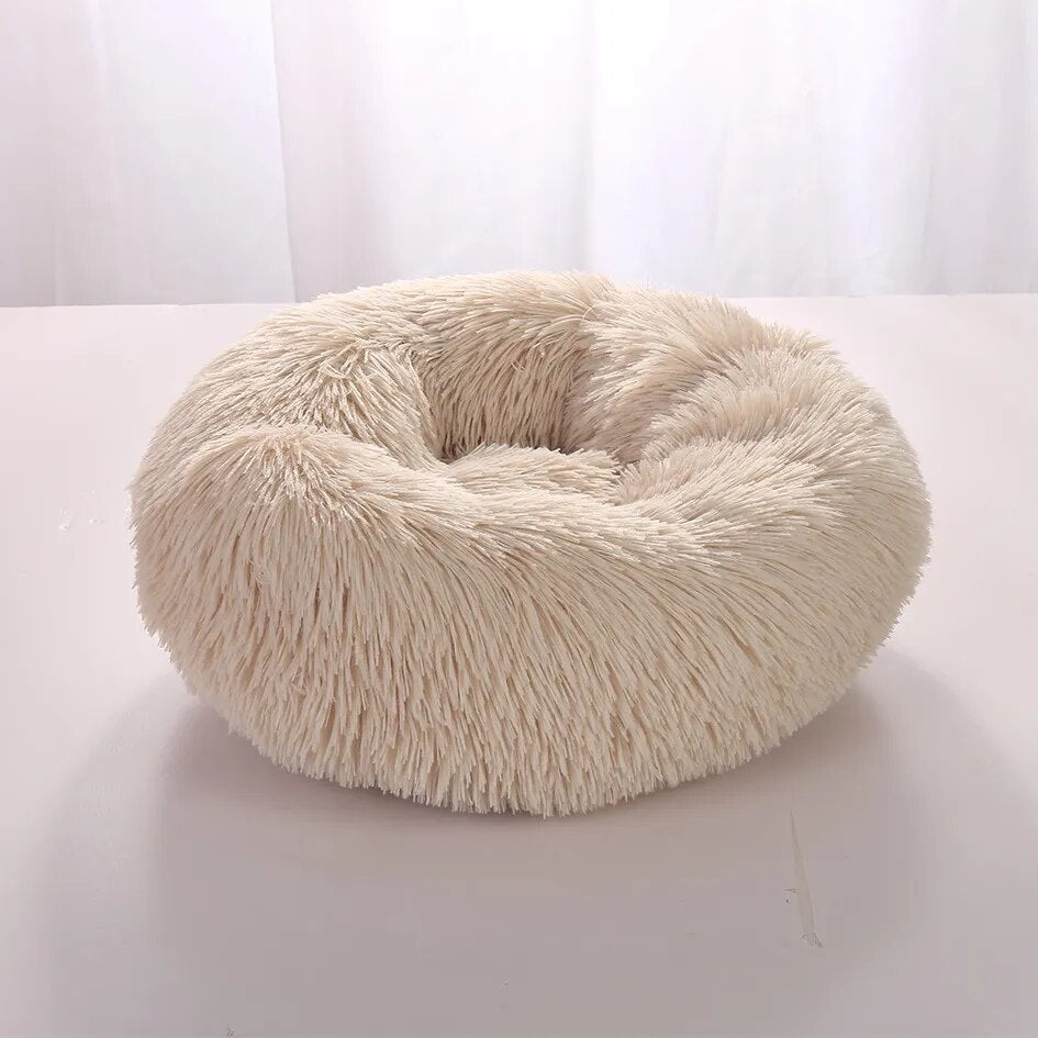 CozyPluche | Ultimate Comfort and Cuddle Soft