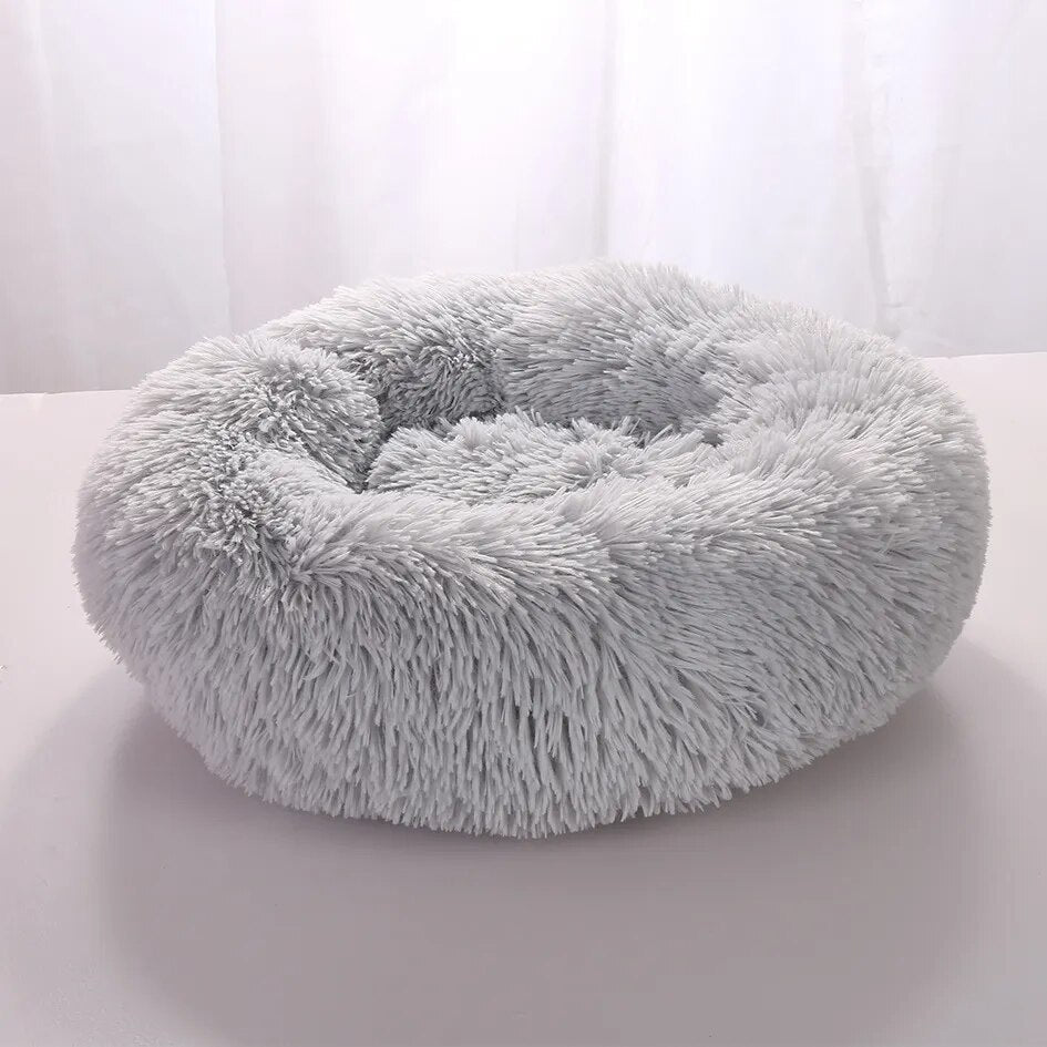 CozyPluche | Ultimate Comfort and Cuddle Soft