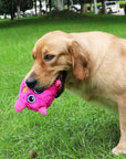 CrazyMonster | Interactive Dog Toy