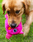 CrazyMonster | Interactive Dog Toy