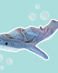 Cuddly Sharkie Blanket