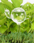 Decorative Transparent Glass Self-Watering Device | Compact and Automatic