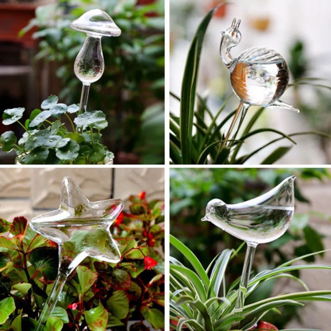 Decorative Transparent Glass Self-Watering Device | Compact and Automatic