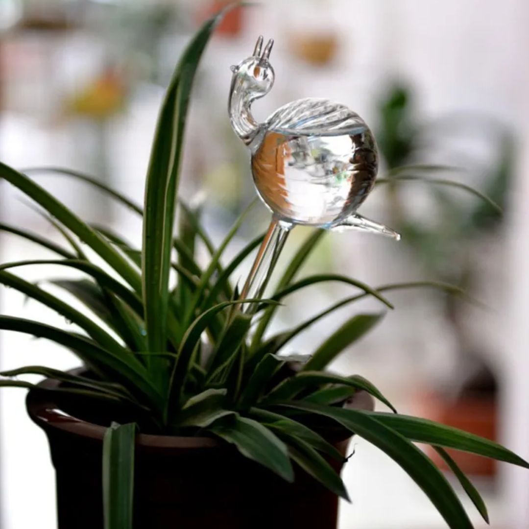 Decorative Transparent Glass Self-Watering Device | Compact and Automatic