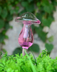 Decorative Transparent Glass Self-Watering Device | Compact and Automatic