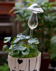 Decorative Transparent Glass Self-Watering Device | Compact and Automatic