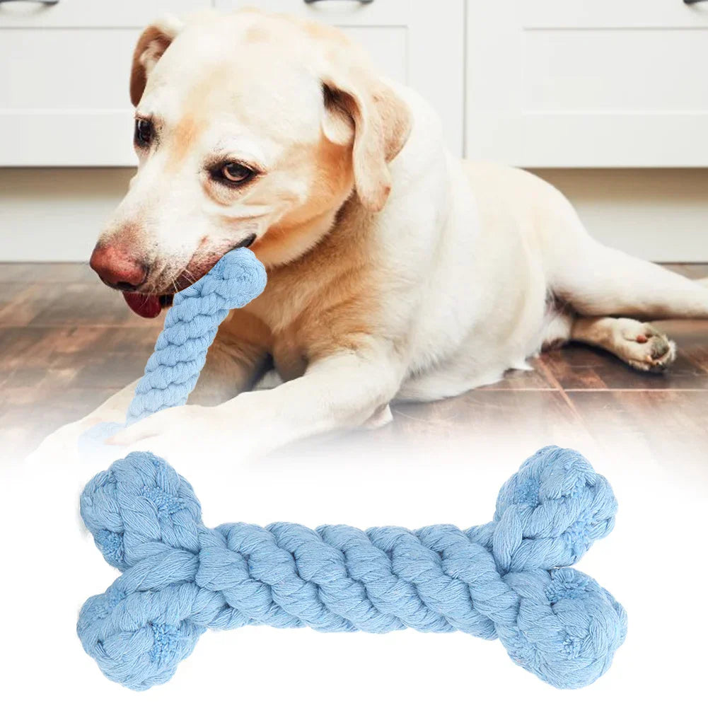DentRope | Powerful for Intensive Chewers