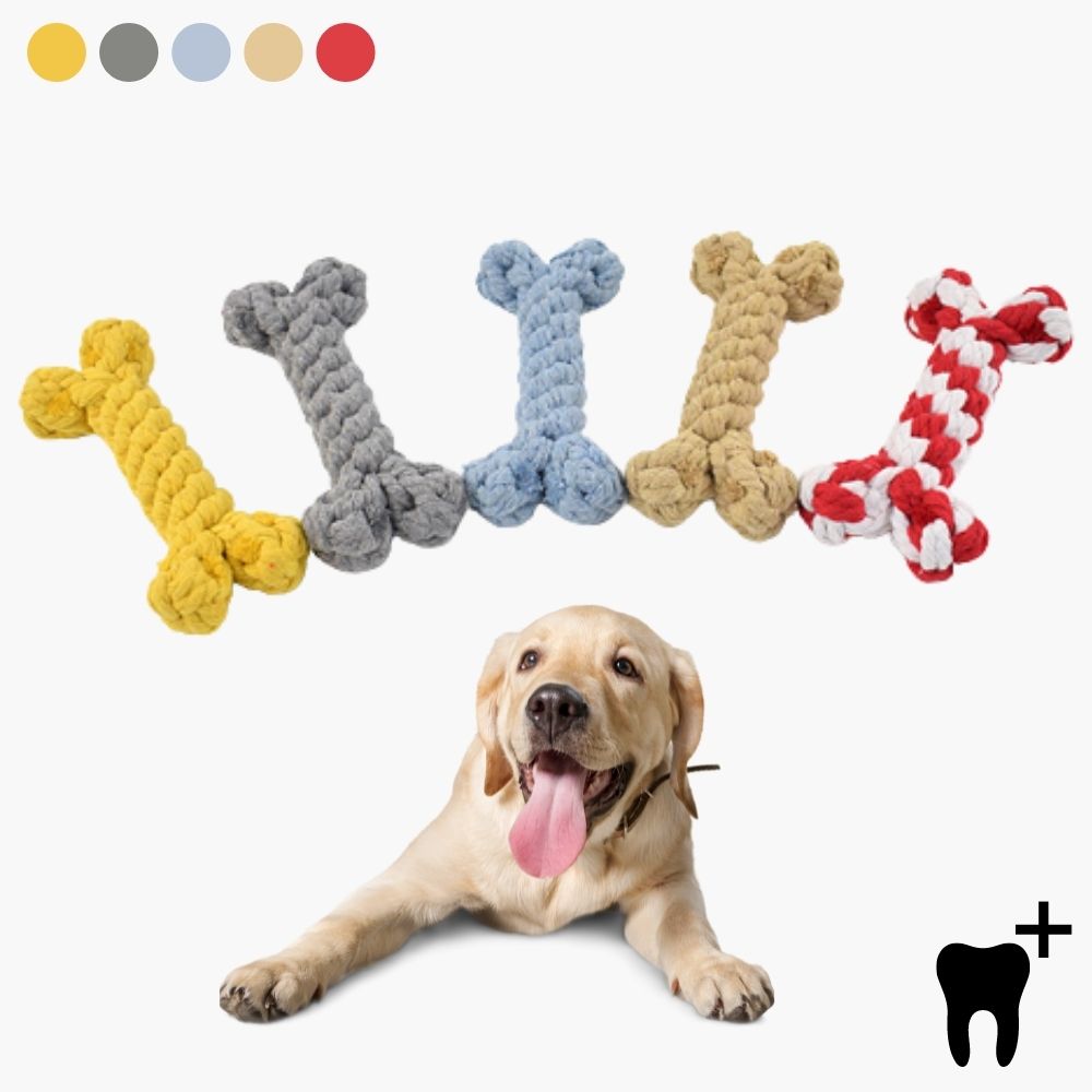 DentRope | Powerful for Intensive Chewers