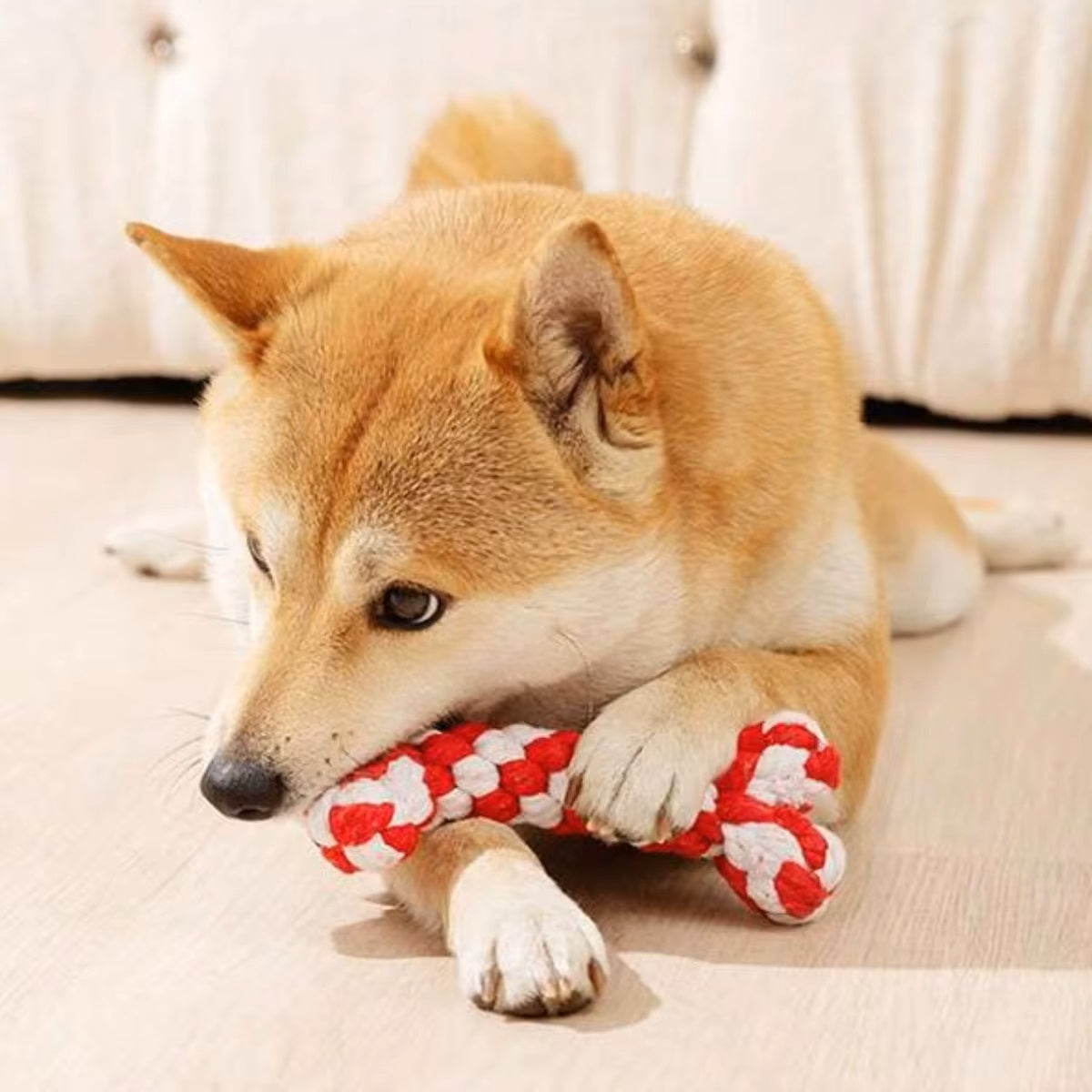 DentRope | Powerful for Intensive Chewers