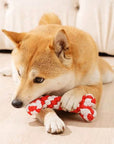 DentRope | Powerful for Intensive Chewers