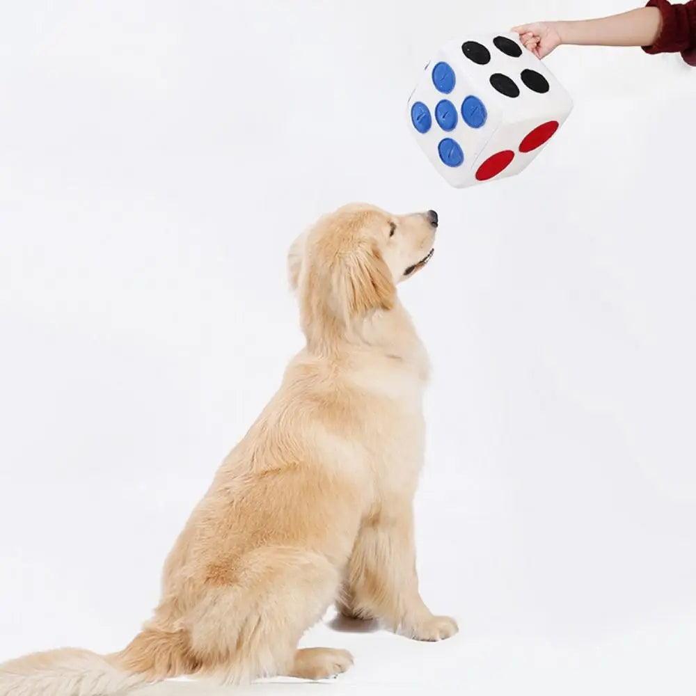 DiceMate | Mental Challenge Dice