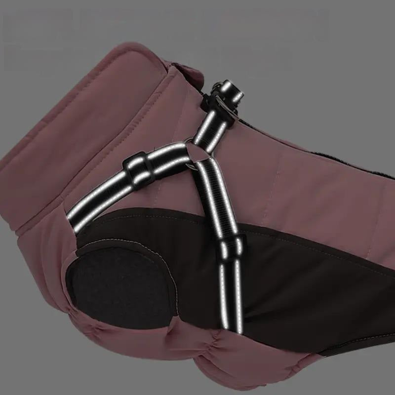 Doegly | Winter Coat for Dogs for Cold Days