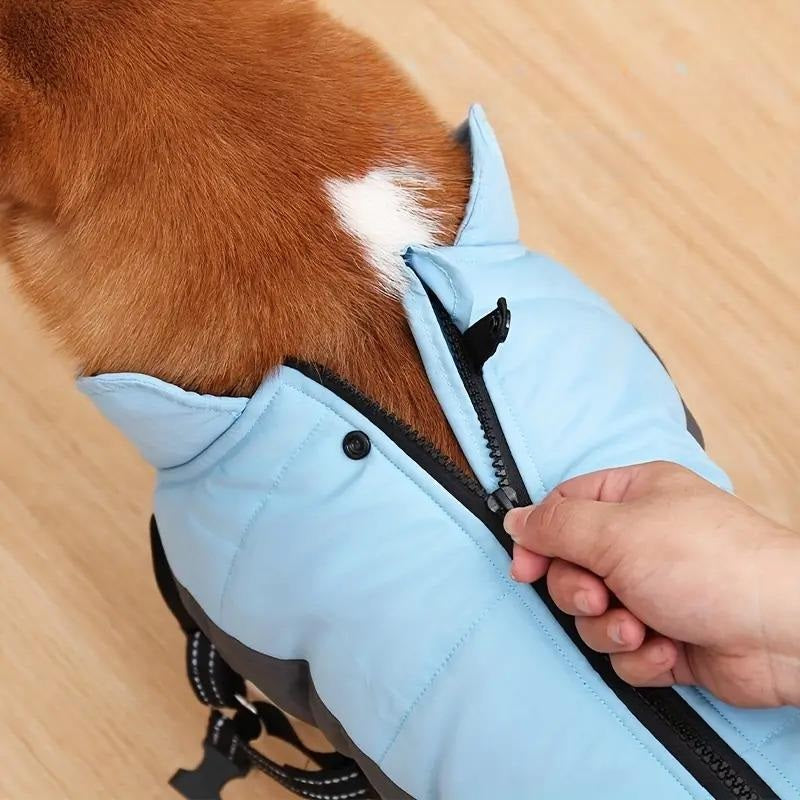 Doegly | Winter Coat for Dogs for Cold Days