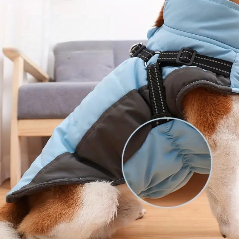 Doegly | Winter Coat for Dogs for Cold Days