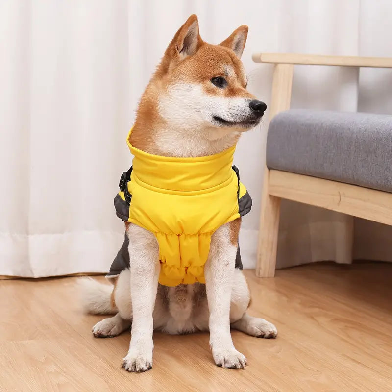 Doegly | Winter Coat for Dogs for Cold Days