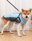 Doegly | Winter Coat for Dogs for Cold Days