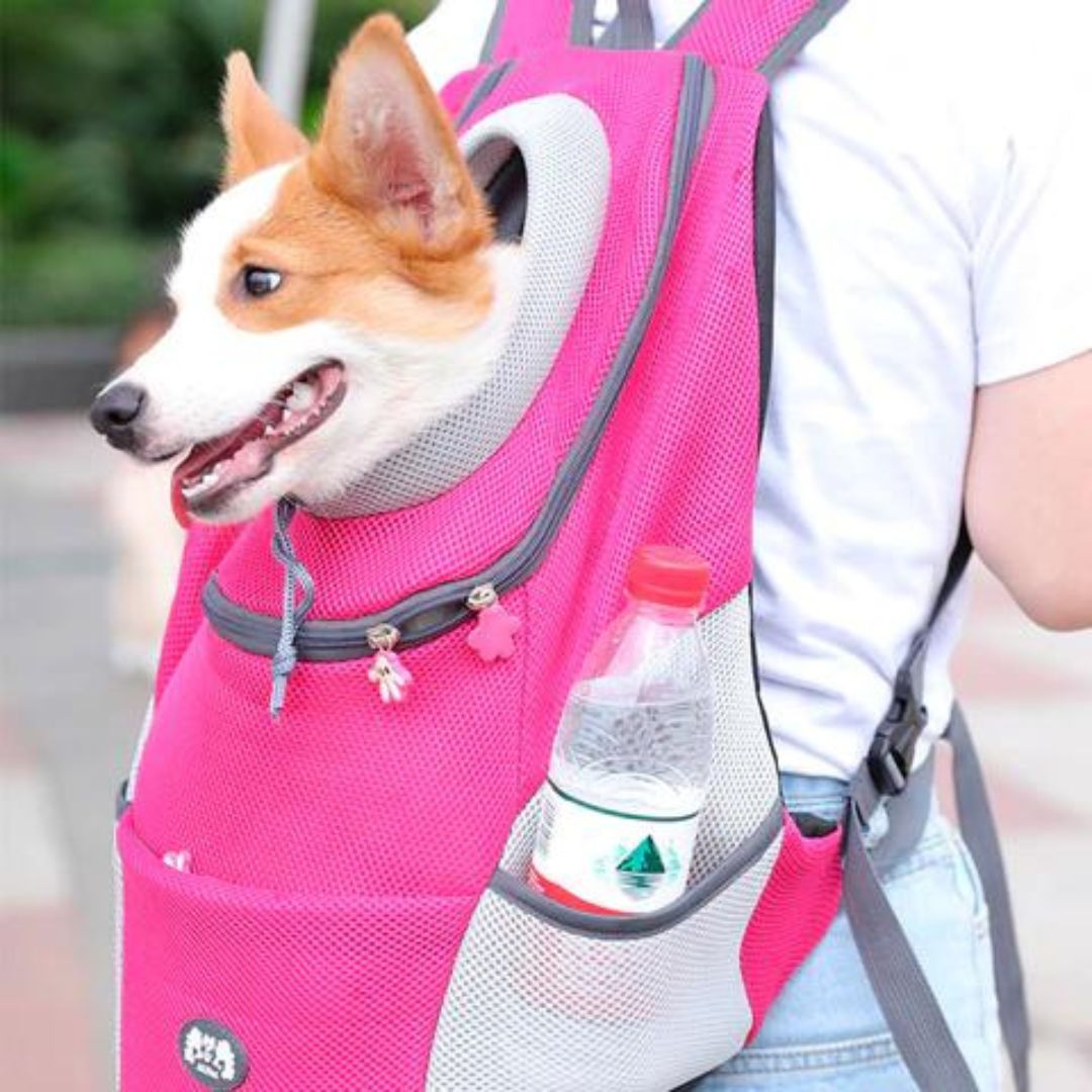 Dog Rucksack | Canicomfy