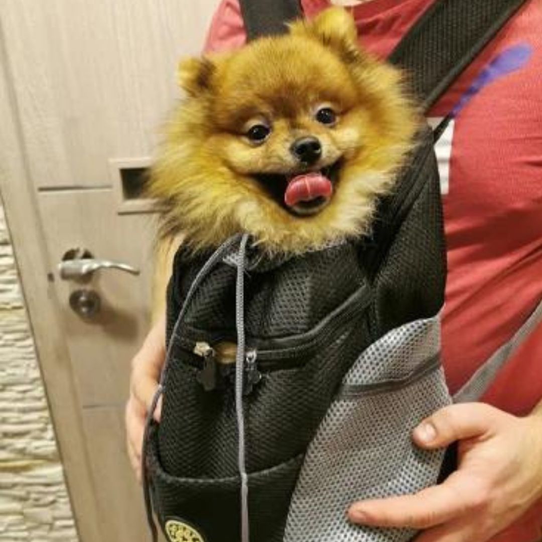 Dog Rucksack | Canicomfy