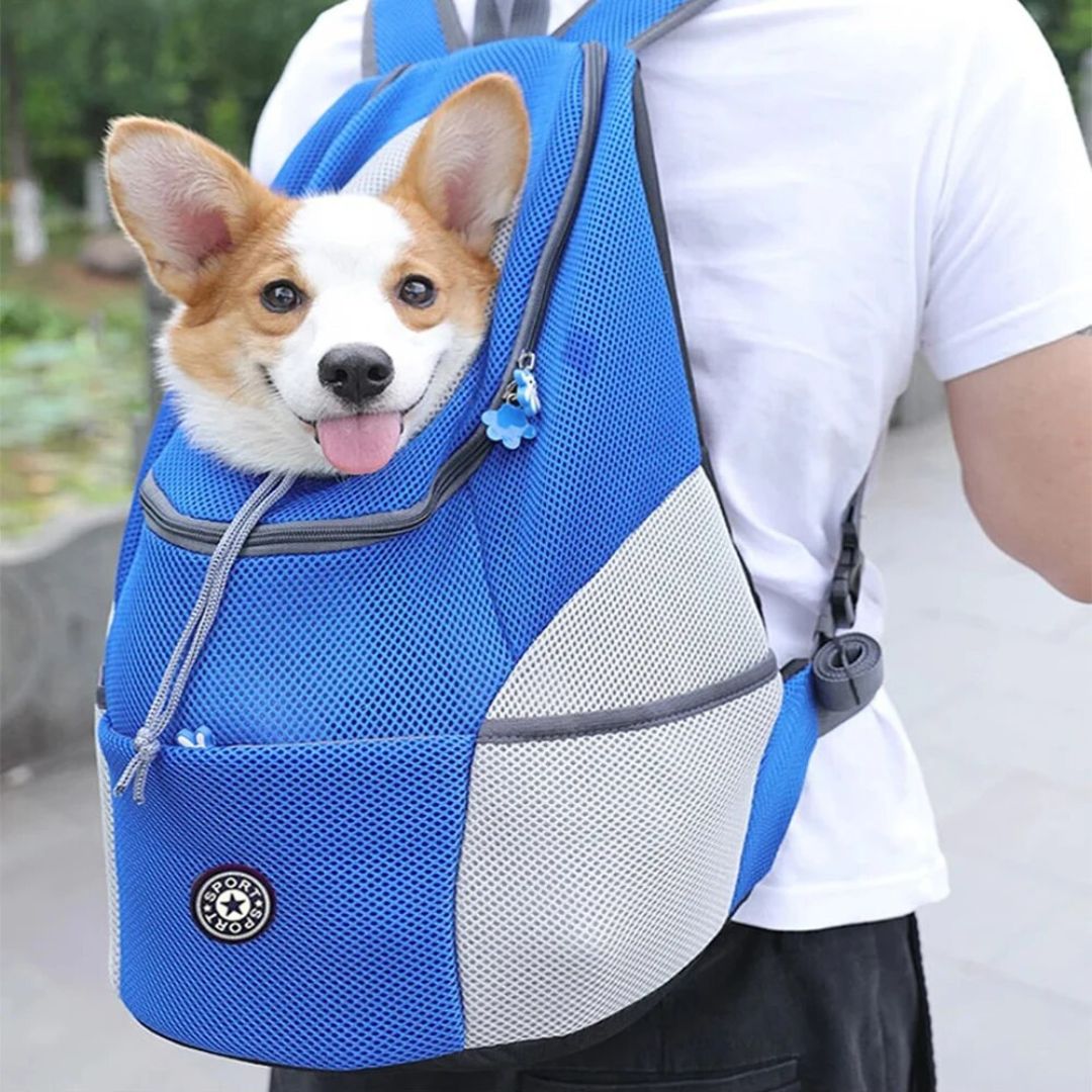 Dog Rucksack | Canicomfy