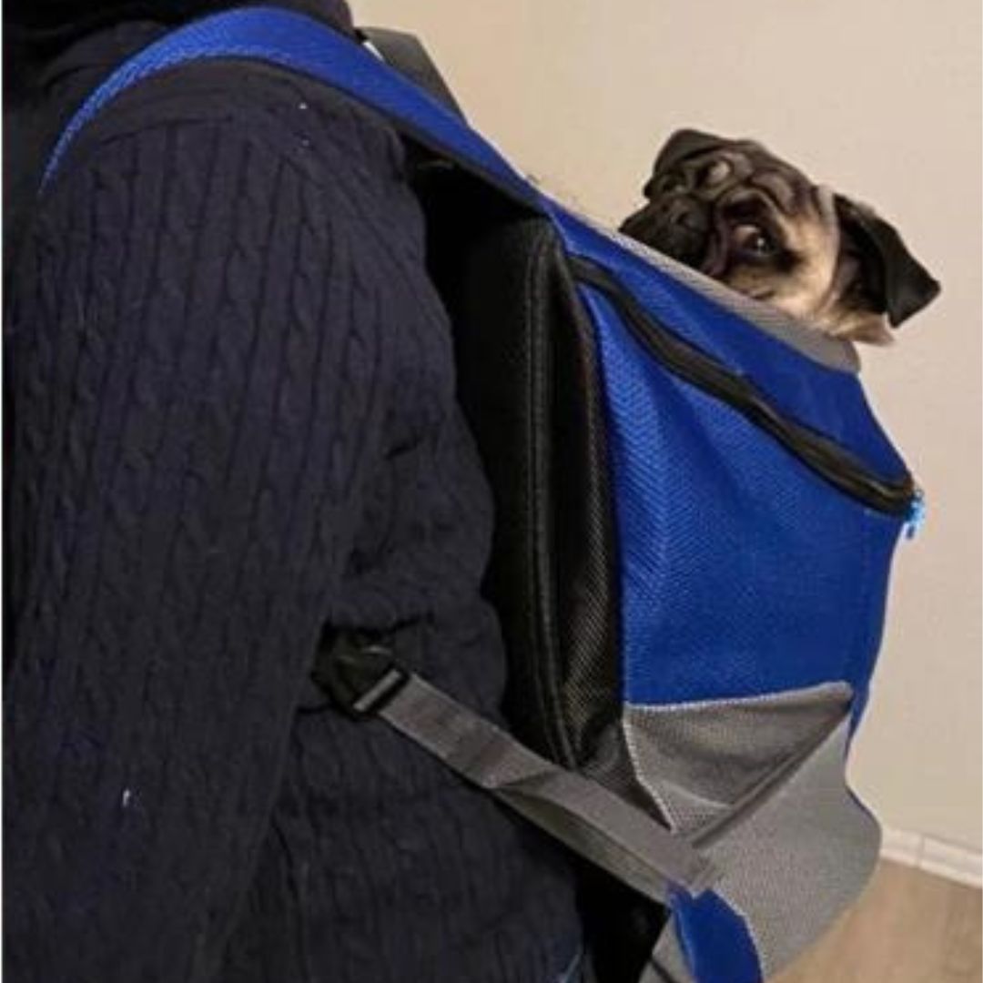 Dog Rucksack | Canicomfy