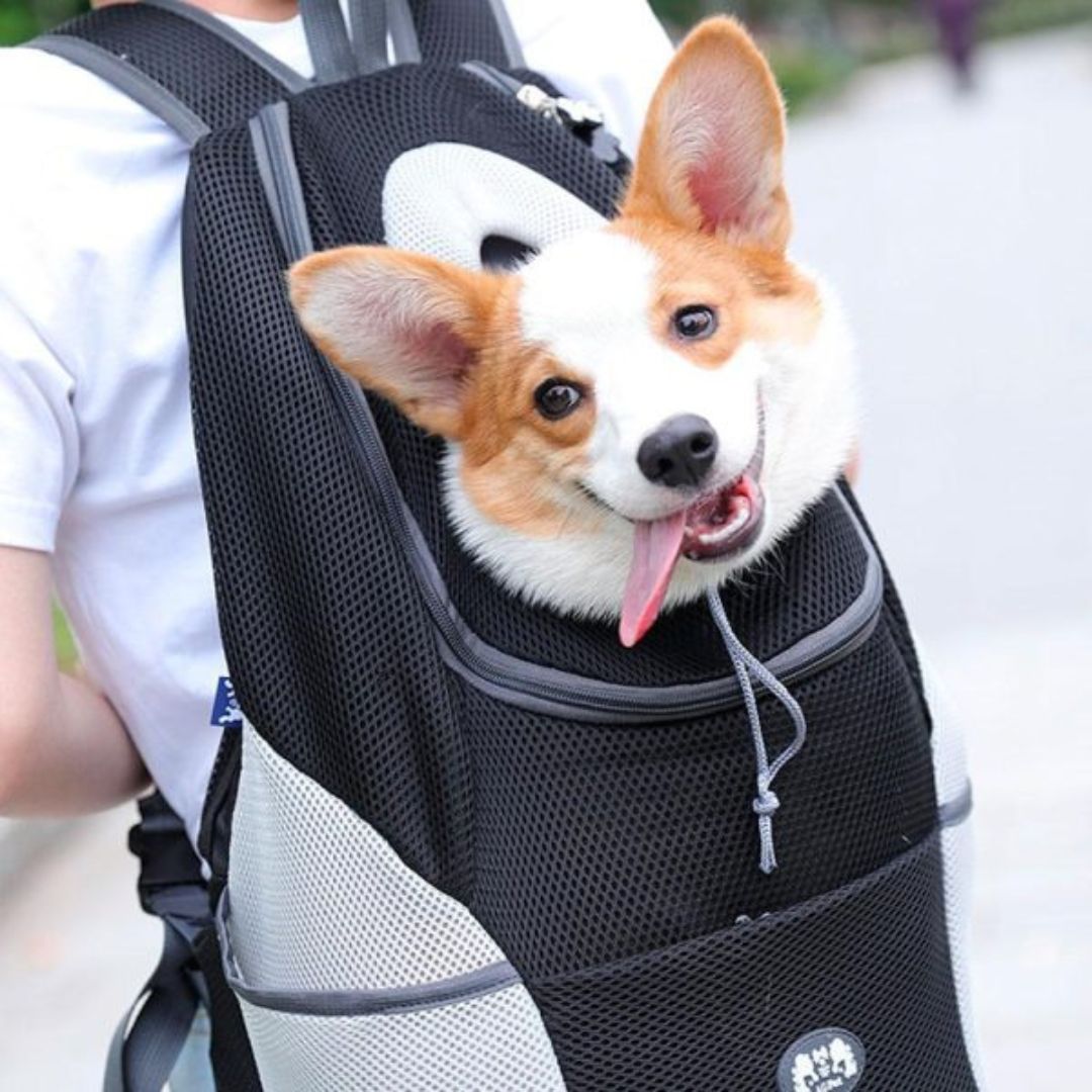 Dog Rucksack | Canicomfy