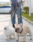 DogDuo | Lead with Anti-Tangle Technology