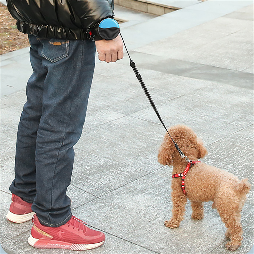 DogiWalk | Handsfree Retractable Dog Lead