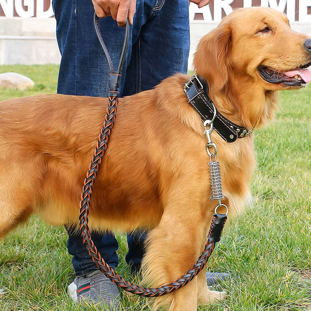 DogsGrip | Strong Leather Lead for Reliable Control