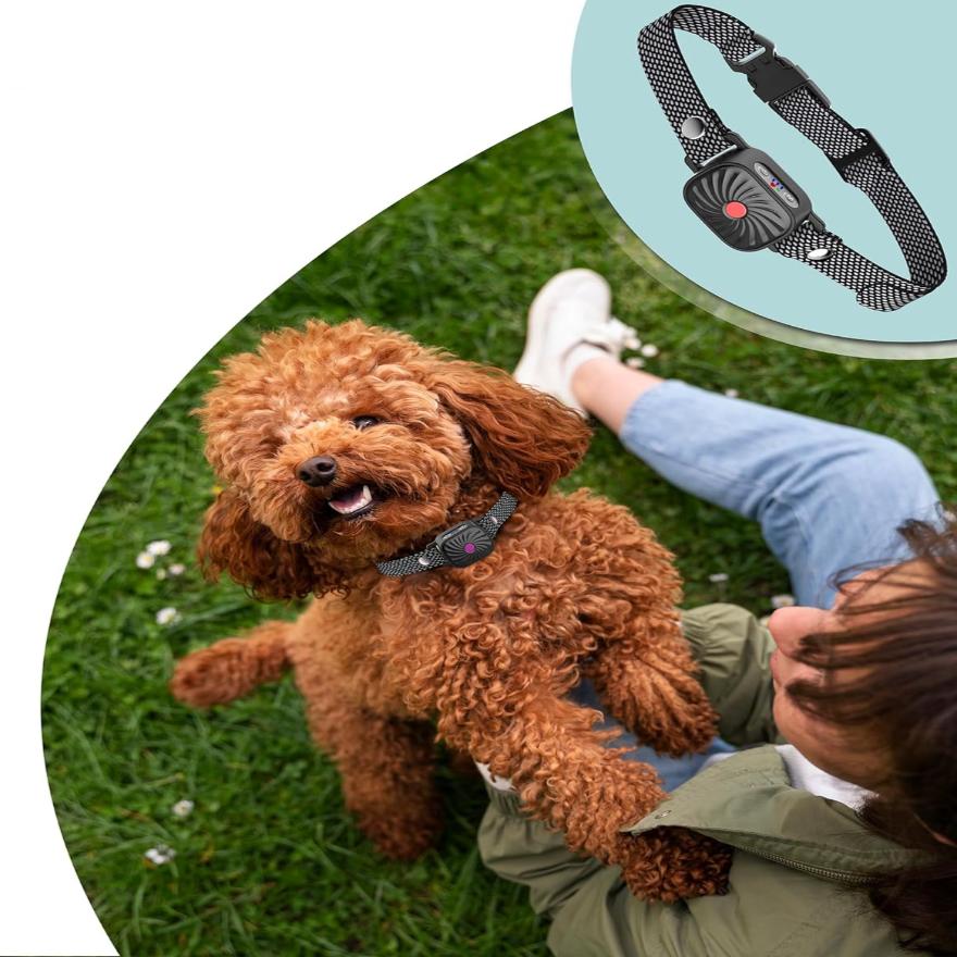 Dorji - Lightweight Anti-Bark Collar