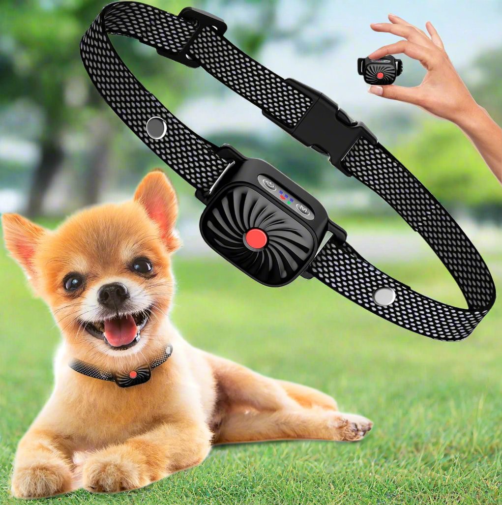 Dorji - Lightweight Anti-Bark Collar