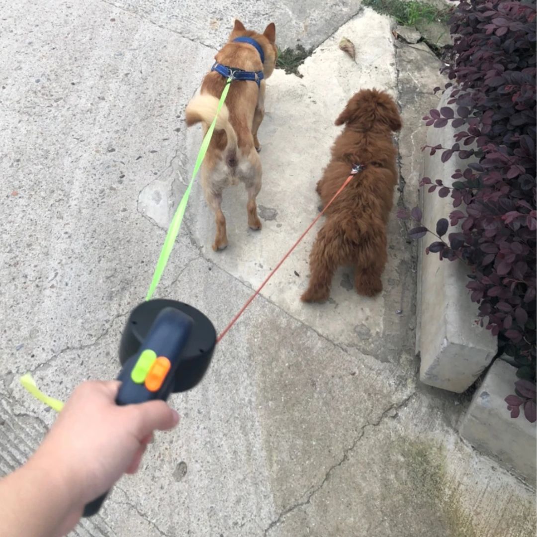Laisse double rétractable pour chien | Avec lampe de poche et support pour sacs à déjections canines