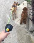 Laisse double rétractable pour chien | Avec lampe de poche et support pour sacs à déjections canines