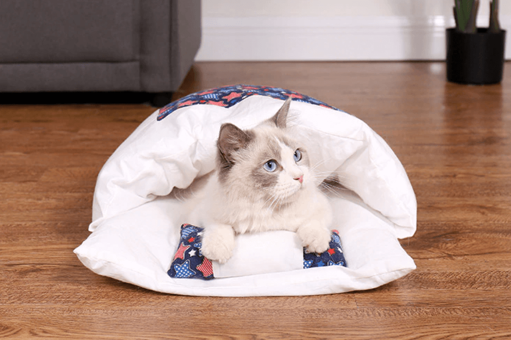 DreamKitty | A luxury sleeping experience for your cat