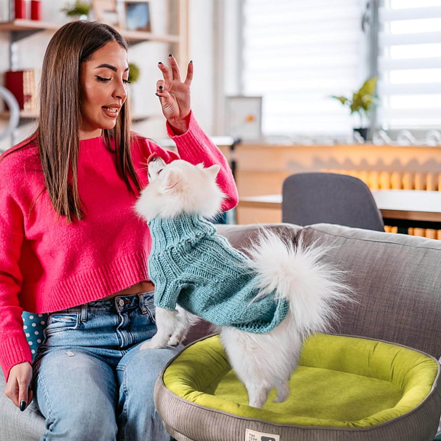 DuraPaws | Plush Paws Paradise