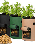 Easy Grow Potato Bag